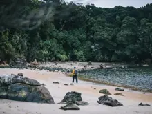 Guests walking along a secluded beach surrounded by native forest.