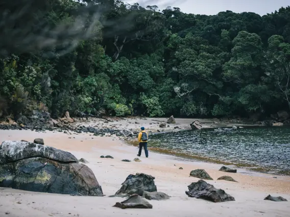 Guests walking along a secluded beach surrounded by native forest.