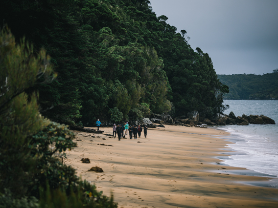 A small group of visitors walking along a secluded sandy beach fringed by dense native bush on Ulva Island, New Zealand.