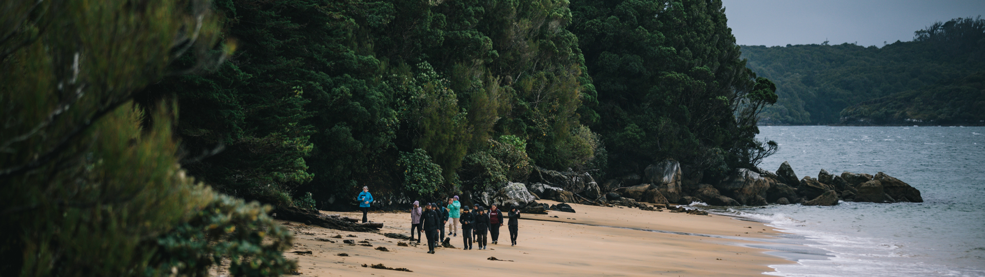 A small group of visitors walking along a secluded sandy beach fringed by dense native bush on Ulva Island, New Zealand.