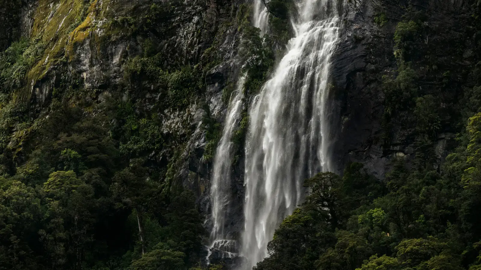 A gushing waterfall splashes down a green-covered cliff side. 