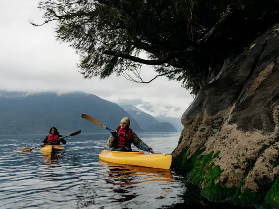Two people kayaking beside a rocky, forested shoreline in Fiordland.