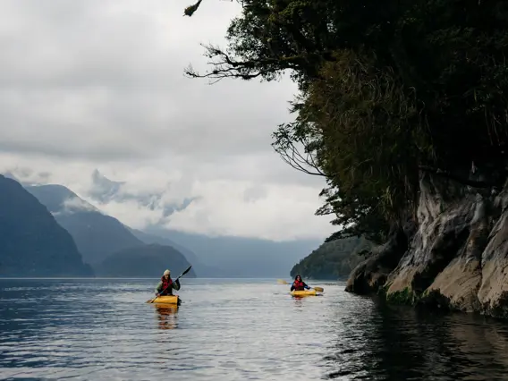 Two kayakers paddle through calm waters near the edge of a tree-lined fiord,