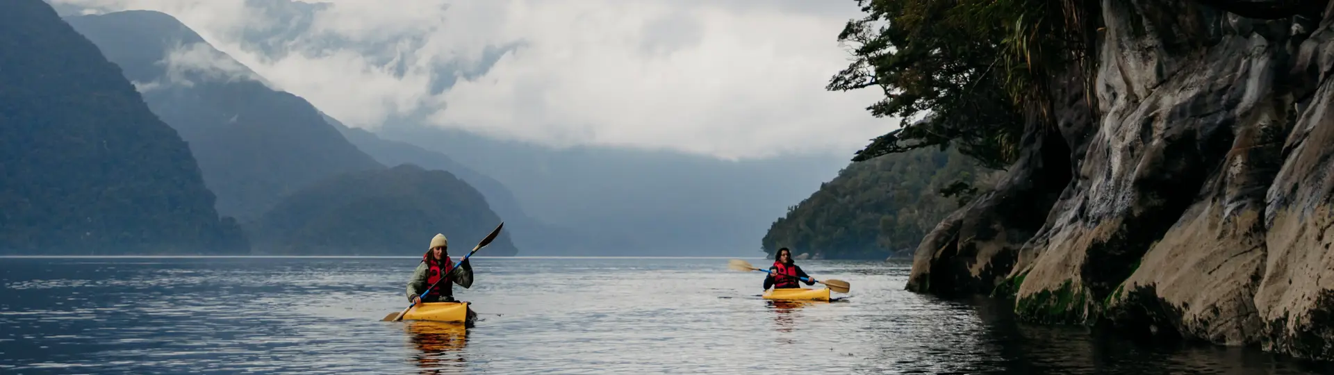 Two kayakers paddle through calm waters near the edge of a tree-lined fiord,