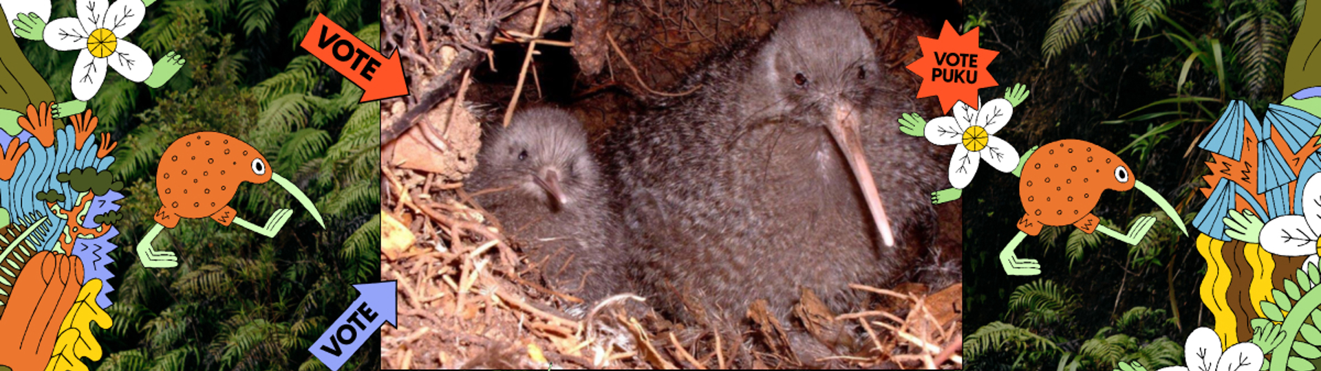 Two kiwi pukupuku sit amongst bright colourful illustrations of nature and stickers that say "vote puku".