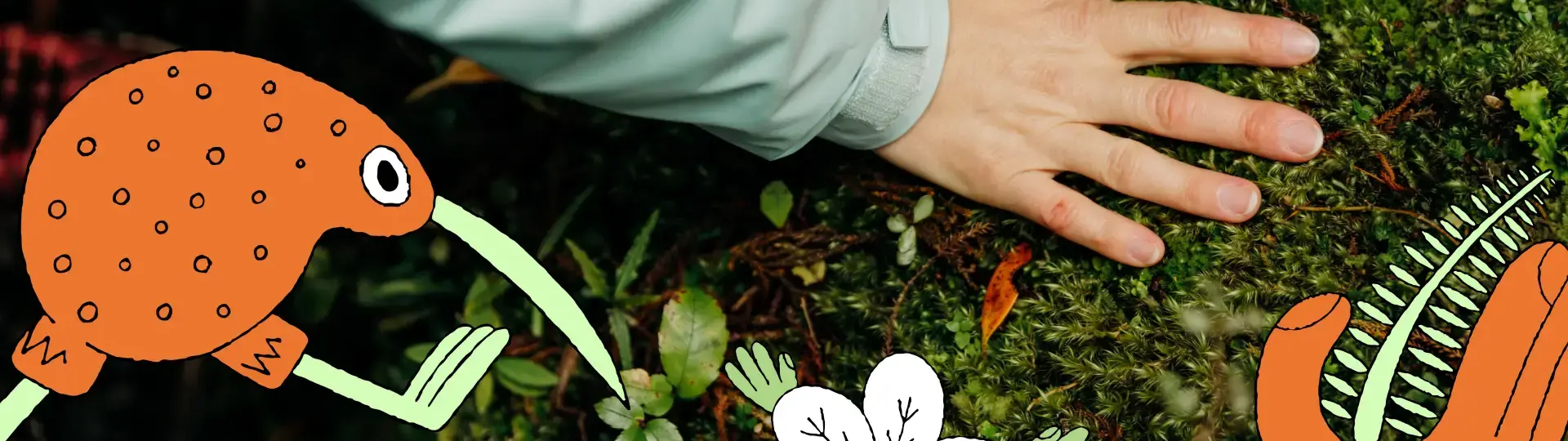 Close-up of a hand among illustrated native flowers and kiwi bird.