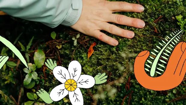 Close-up of a hand among illustrated native flowers and kiwi bird.