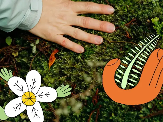 Close-up of a hand among illustrated native flowers and kiwi bird.