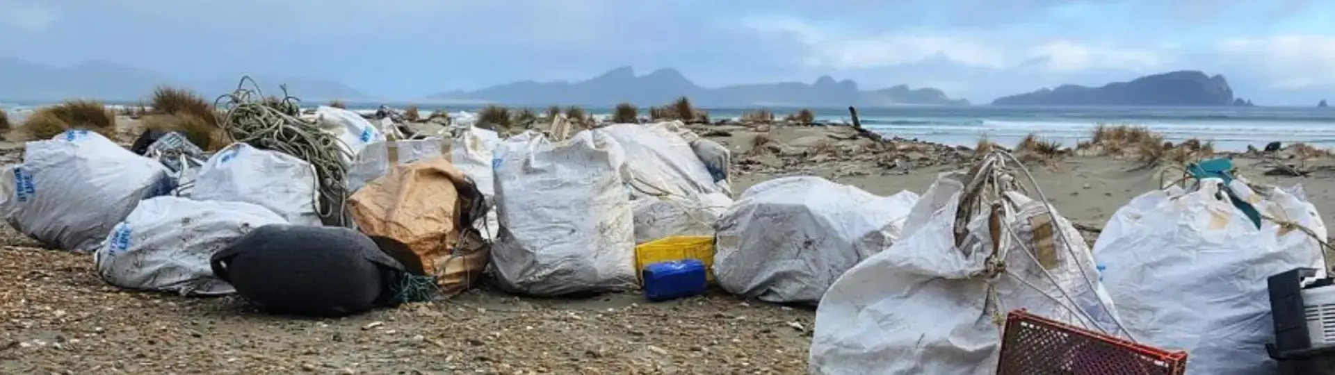 Rubbish bags lined up on a beach ready to be taken away. 