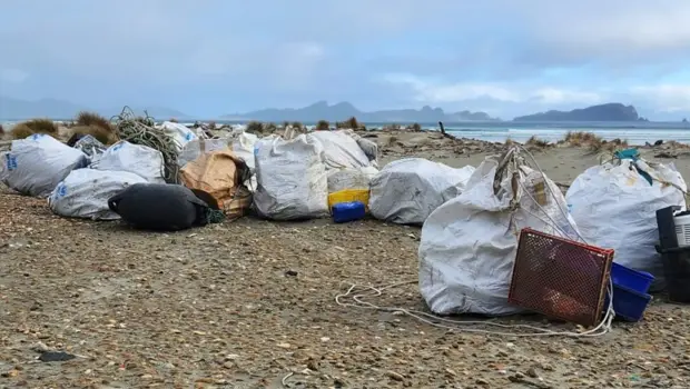Rubbish bags lined up on a beach ready to be taken away. 