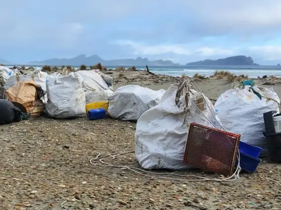 Rubbish bags lined up on a beach ready to be taken away. 