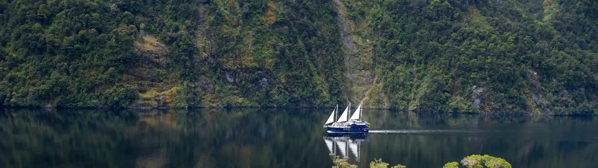 The Milford Mariner sails through the calm waters of Milford Sound, surrounded by lush green forest and steep mountains, with reflections on the dark fiord.