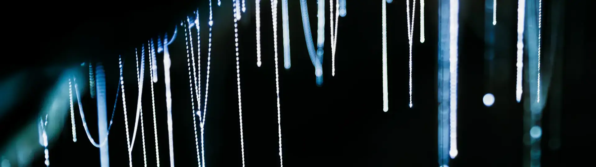 Glowing strands of glowworms illuminating a dark cave.