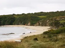 Remote sandy beach bordered by coastal vegetation and native forest.