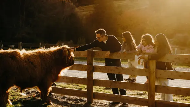 Family feeding a Highland cow at Walter Peak Farm.
