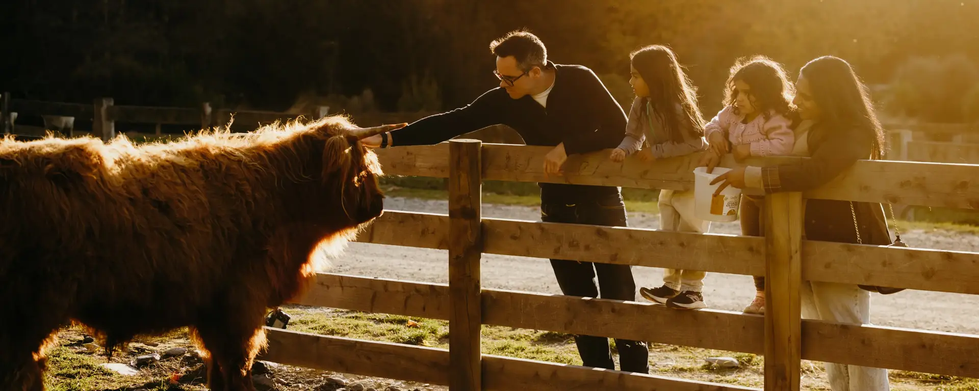 Family feeding a Highland cow at Walter Peak Farm.