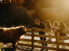Family feeding a Highland cow at Walter Peak Farm.