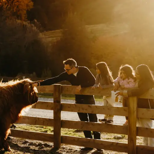 Family feeding a Highland cow at Walter Peak Farm.