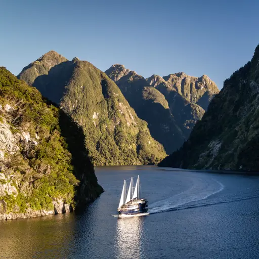 Cruise vessel sailing through the dramatic mountains of Doubtful Sound.