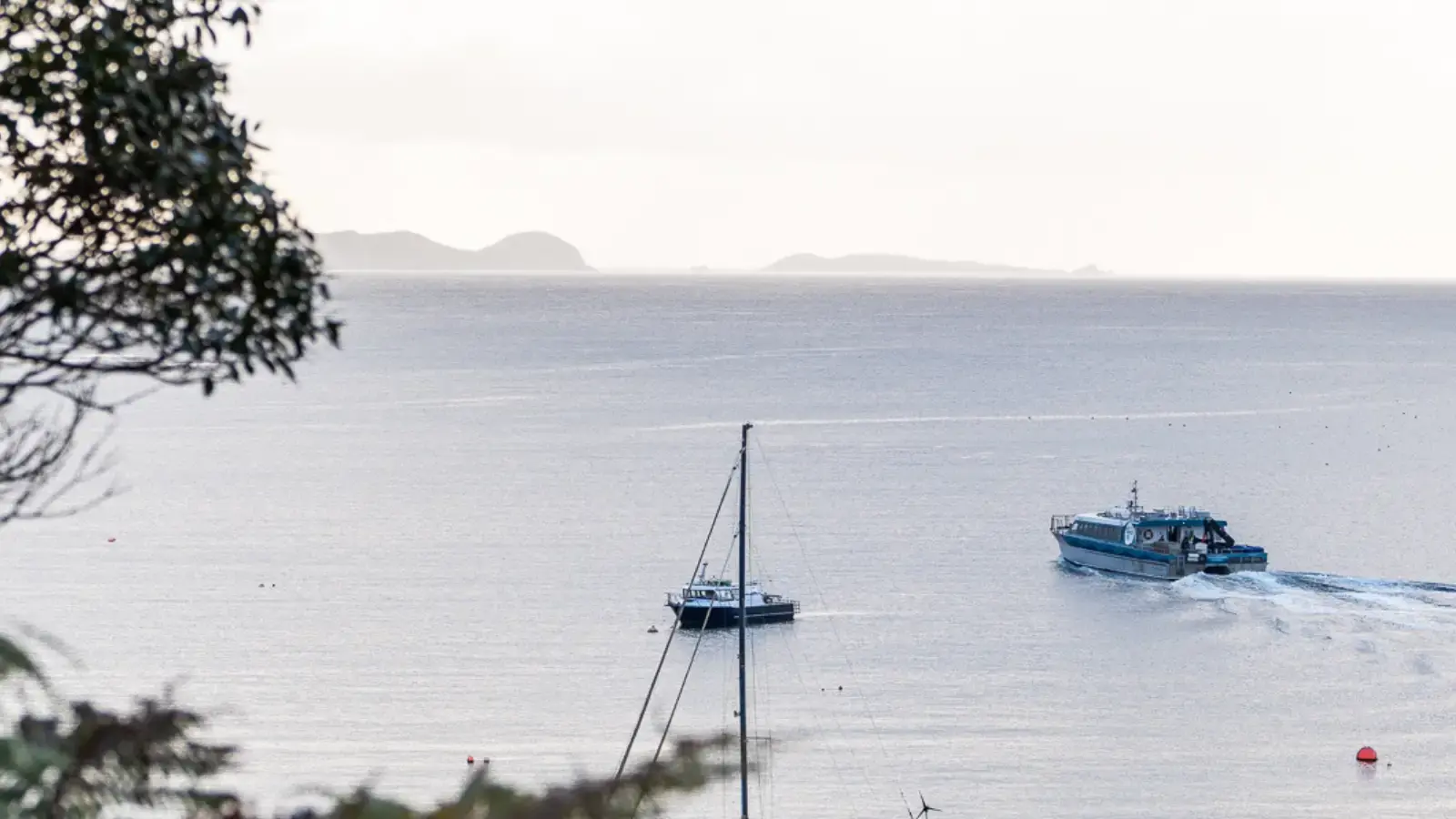 A blue catamaran sails out of a bay in calm waters with a two sail boats docked near by.