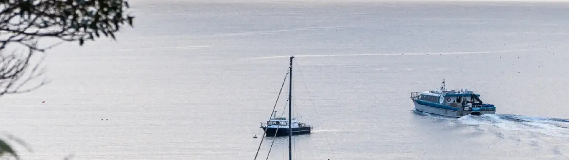 A blue catamaran sails out of a bay in calm waters with a two sail boats docked near by.