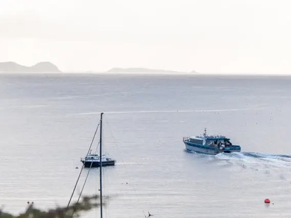 A blue catamaran sails out of a bay in calm waters with a two sail boats docked near by.