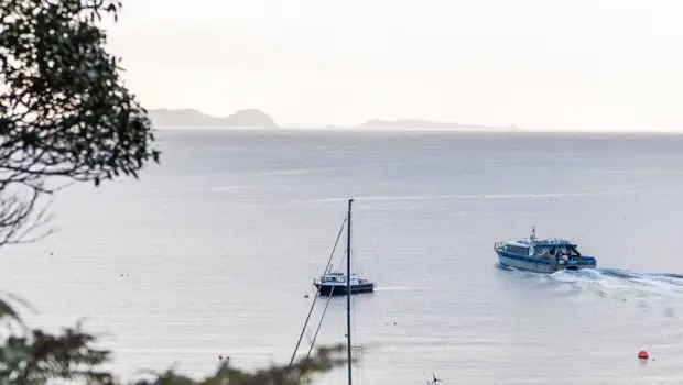 A blue catamaran sails out of a bay in calm waters with a two sail boats docked near by.