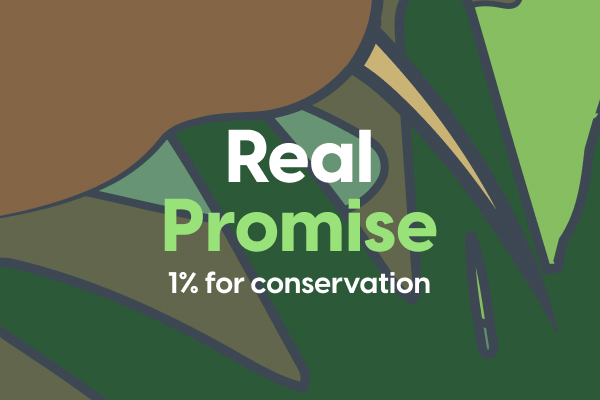 A stylised illustrated kiwi bird in greens and browns, overlaid with text reading "Real Promise – 1% for conservation."