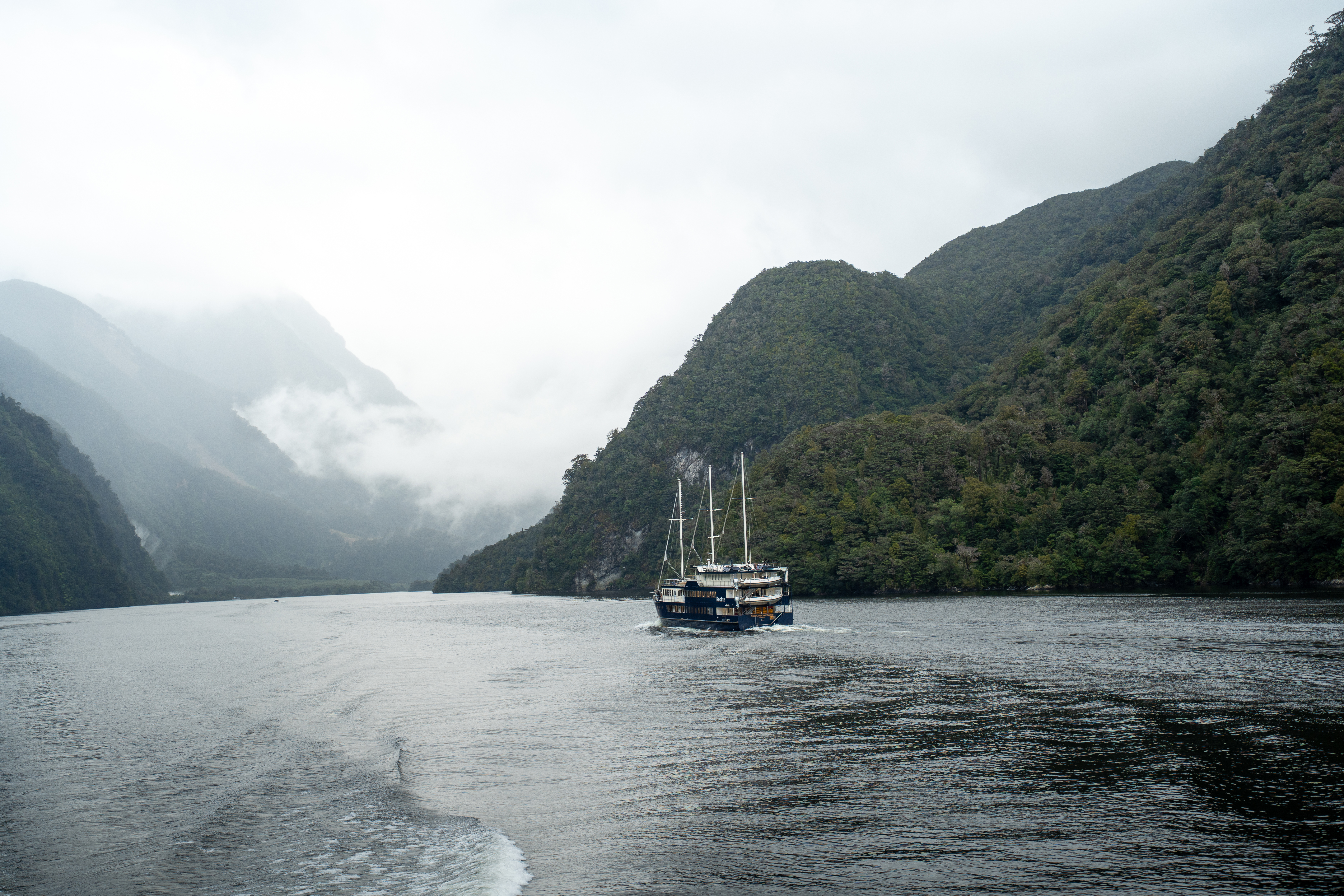 A traditional cruise boat, branded with RealNZ on the side, glides through still water in Doubtful Sound. 