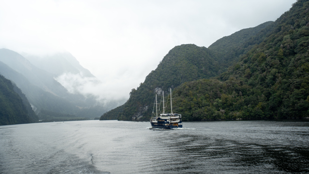 A traditional cruise boat, branded with RealNZ on the side, glides through still water in Doubtful Sound. 