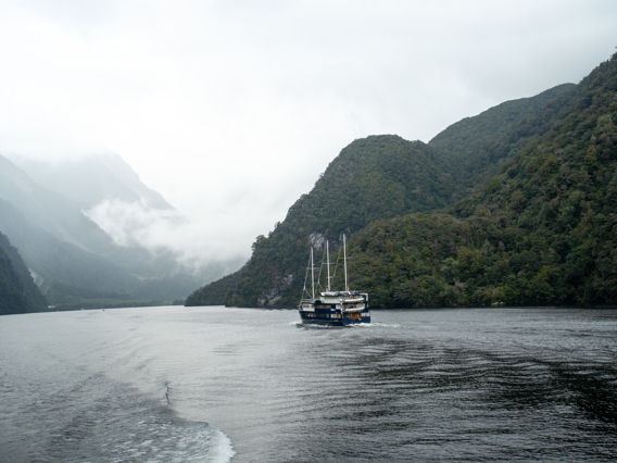 A traditional cruise boat, branded with RealNZ on the side, glides through still water in Doubtful Sound. 