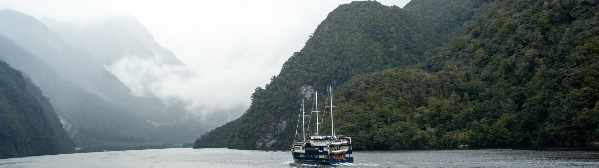 A traditional cruise boat, branded with RealNZ on the side, glides through still water in Doubtful Sound. 