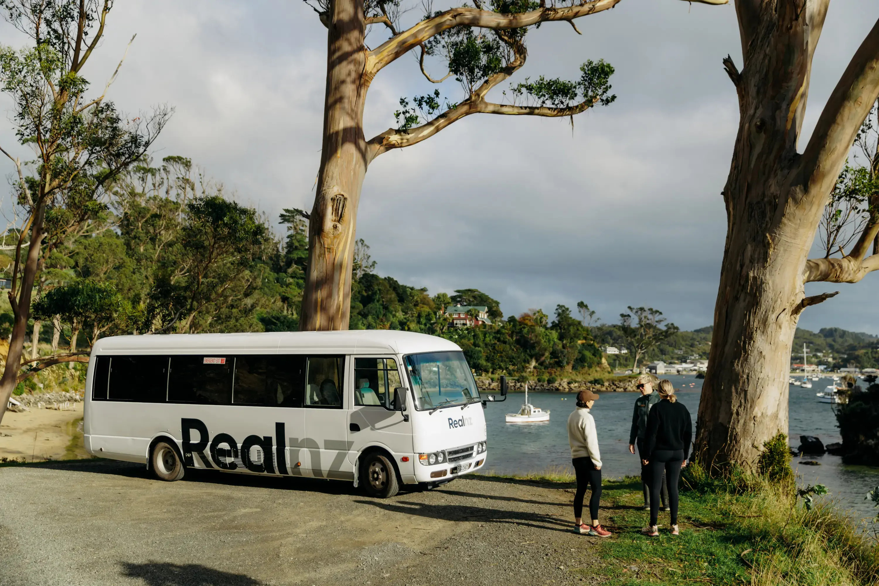 RealNZ coach parked at a scenic coastal viewpoint.