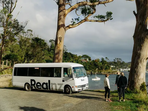 RealNZ coach parked at a scenic coastal viewpoint.