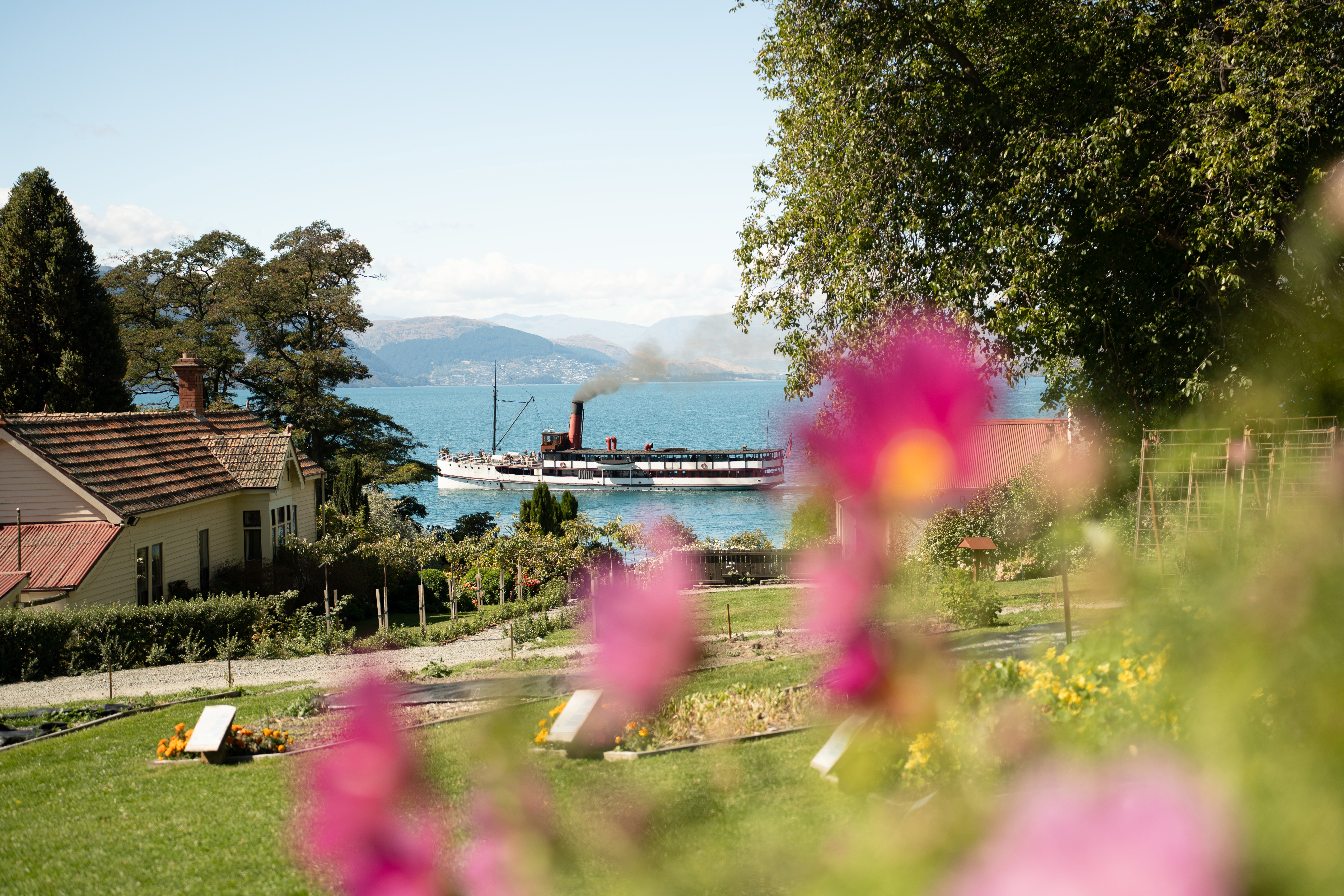 The TSS Earnslaw steamship crossing Lake Wakatipu on a clear day, viewed through the colourful gardens of Walter Peak High Country Farm with the Remarkables mountain range in the distance.
