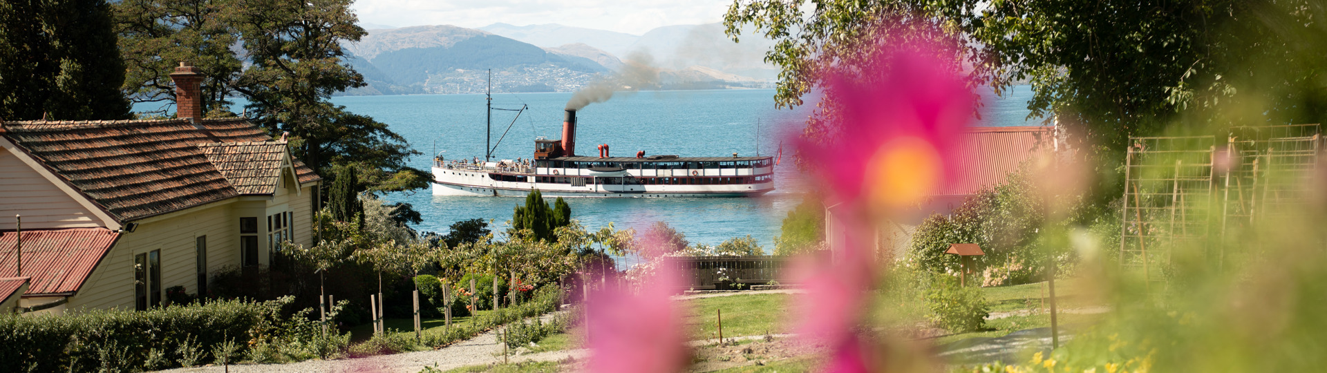 The TSS Earnslaw steamship crossing Lake Wakatipu on a clear day, viewed through the colourful gardens of Walter Peak High Country Farm with the Remarkables mountain range in the distance.
