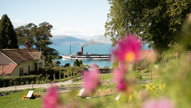 The TSS Earnslaw steamship crossing Lake Wakatipu on a clear day, viewed through the colourful gardens of Walter Peak High Country Farm with the Remarkables mountain range in the distance.