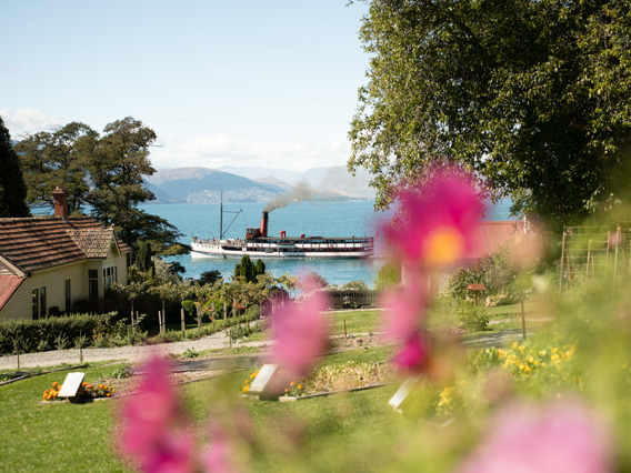 The TSS Earnslaw steamship crossing Lake Wakatipu on a clear day, viewed through the colourful gardens of Walter Peak High Country Farm with the Remarkables mountain range in the distance.