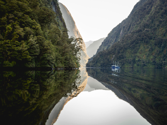 An overnight cruise boat docks for the night in a quiet arm of Doubtful Sound on clear reflective water.