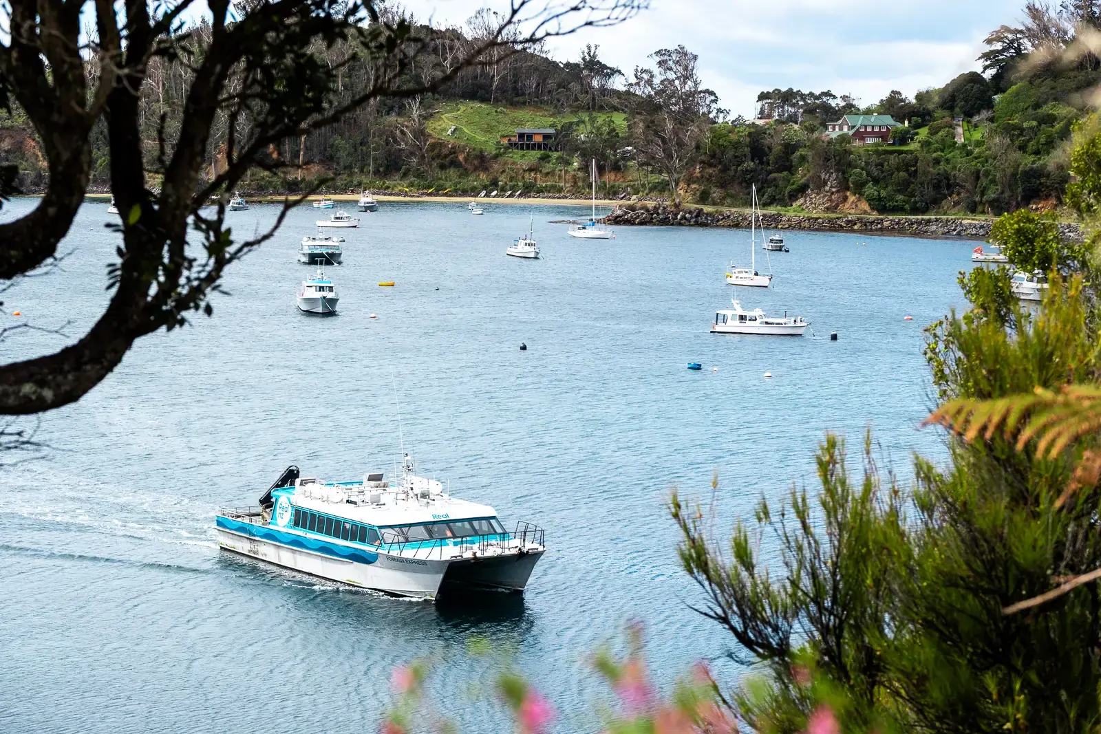 A modern catamaran ferry pulls into a quiet bay. 
