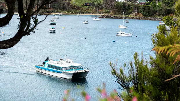 A modern catamaran ferry pulls into a quiet bay. 