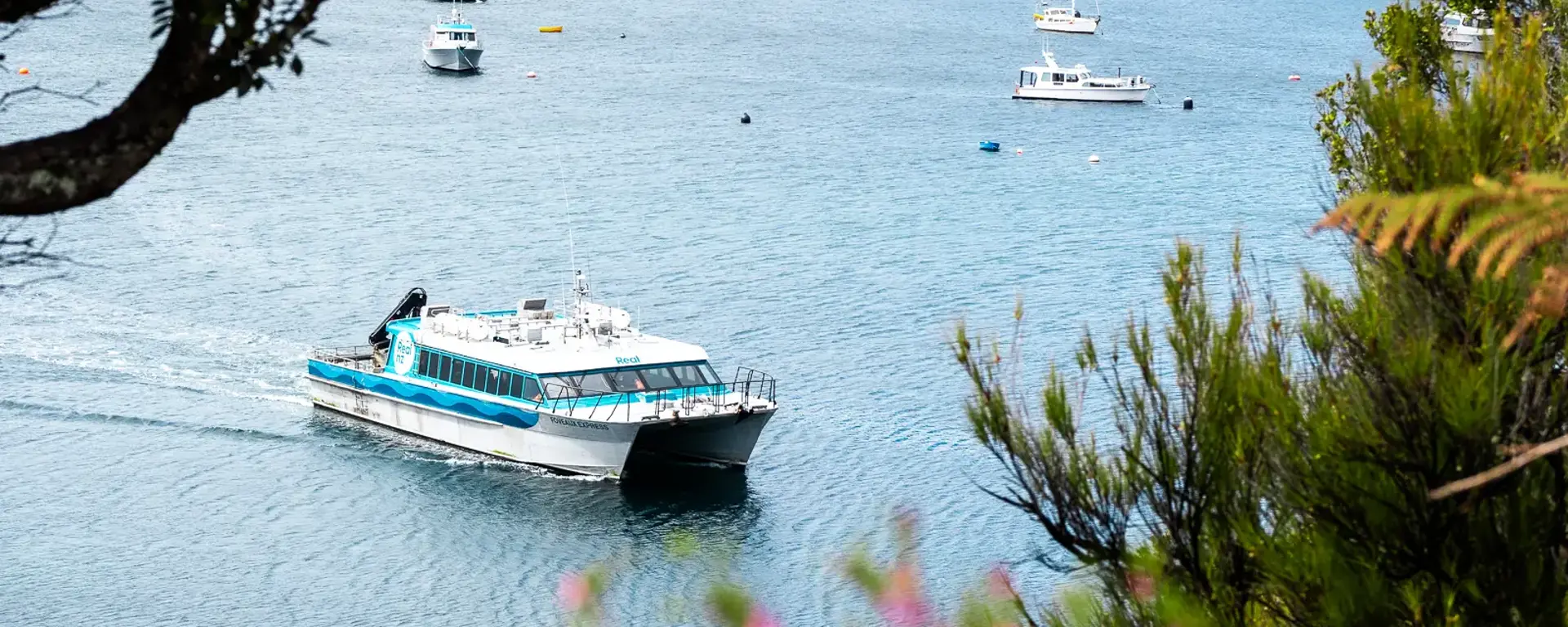 A modern catamaran ferry pulls into a quiet bay. 