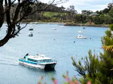 A modern catamaran ferry pulls into a quiet bay. 