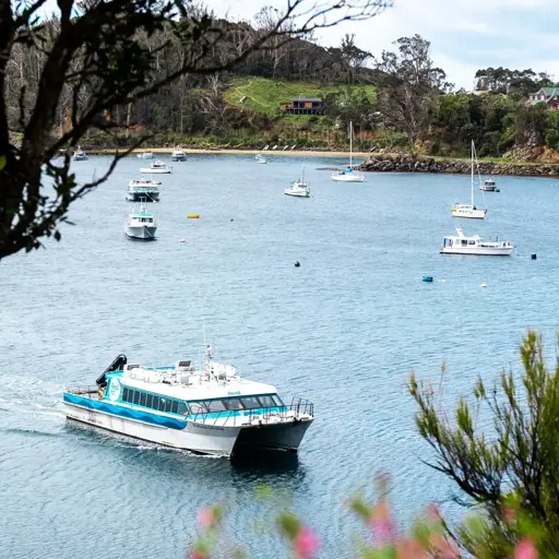 A modern catamaran ferry pulls into a quiet bay. 