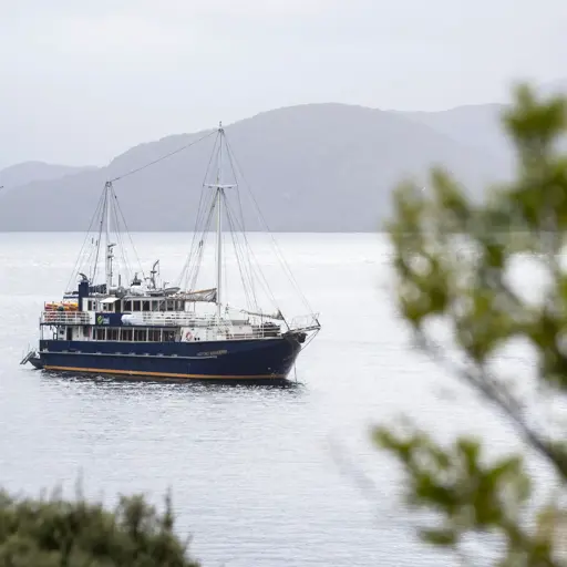 Expedition vessel cruising through the calm waters of Preservation Inlet.