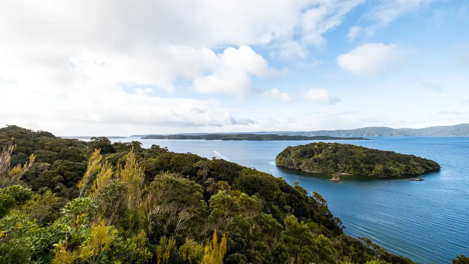 Panoramic view across forested islands and blue coastal waters.