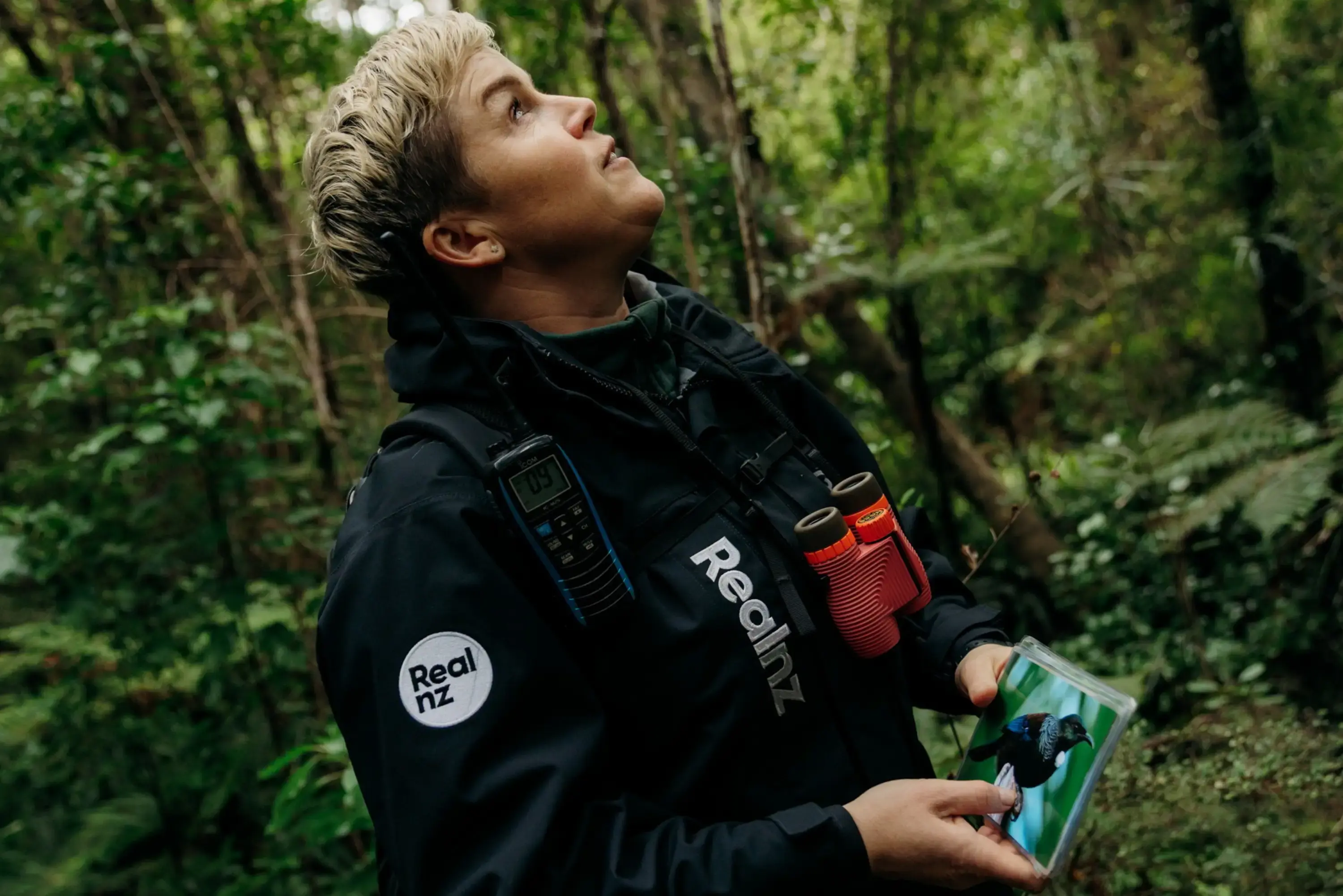 A RealNZ nature guide holding images of native birds and wearing binoculars walks through forrest on a guided tour.