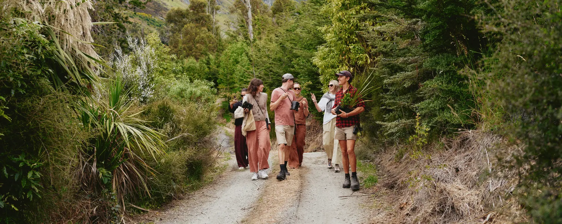 A rural guide takes a group of guests along a farm track, all carrying native plant seedlings. 