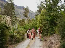 A rural guide takes a group of guests along a farm track, all carrying native plant seedlings. 
