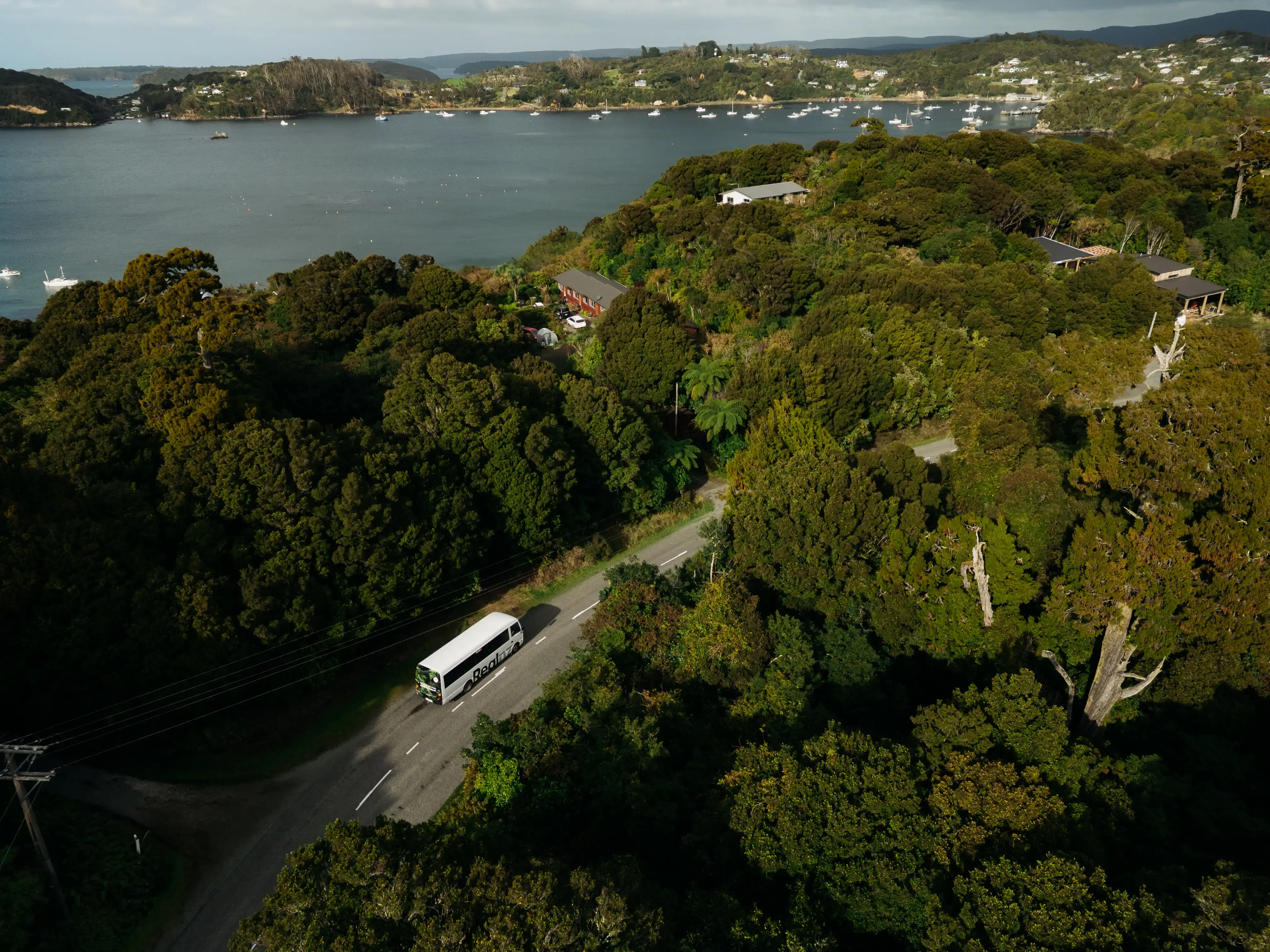 RealNZ coach travelling through lush native forest.